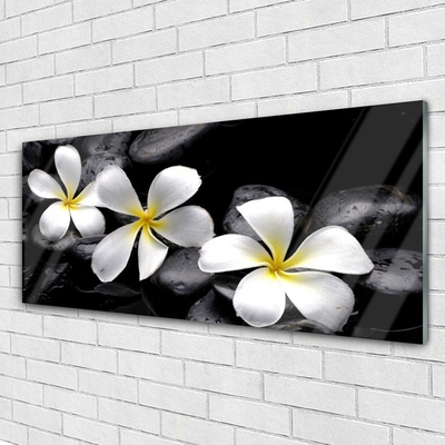 Glas billede Flower Plumeria Plant