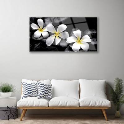 Glas billede Flower Plumeria Plant