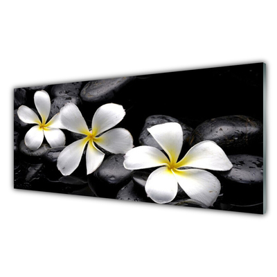 Glas billede Flower Plumeria Plant