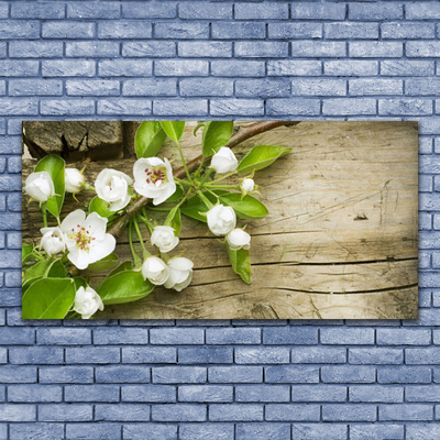 Billede på glas Blomster Planter Natur