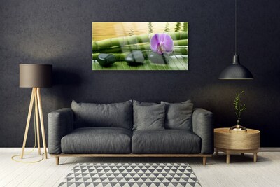 Glasfoto Blomster Sten Bambus Natur