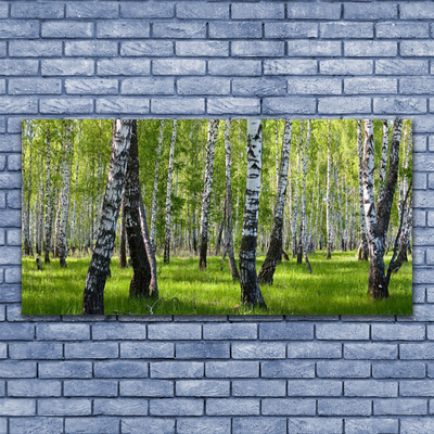 Billede på glas Skov Træer Natur