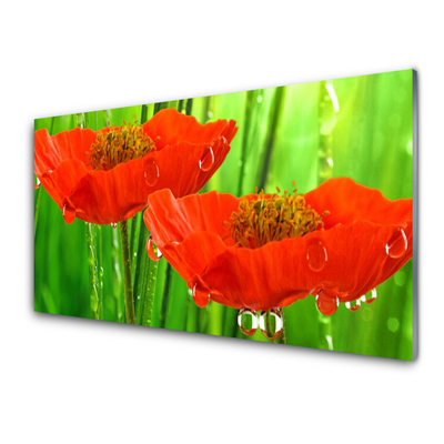 Billede i glas Poppies Nature Plant