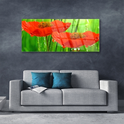 Billede i glas Poppies Nature Plant