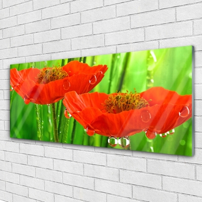 Billede i glas Poppies Nature Plant