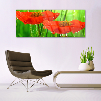 Billede i glas Poppies Nature Plant