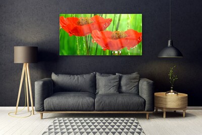 Billede i glas Poppies Nature Plant