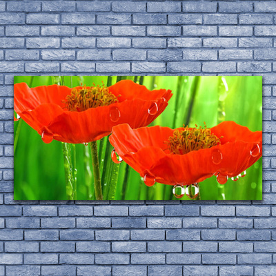 Billede i glas Poppies Nature Plant