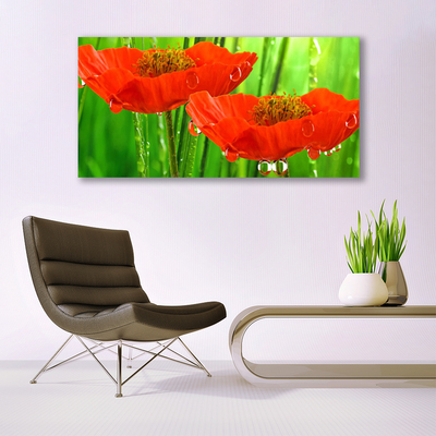 Billede i glas Poppies Nature Plant