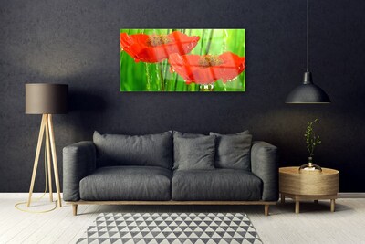 Billede i glas Poppies Nature Plant