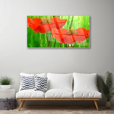 Billede i glas Poppies Nature Plant