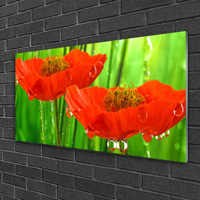 Billede i glas Poppies Nature Plant