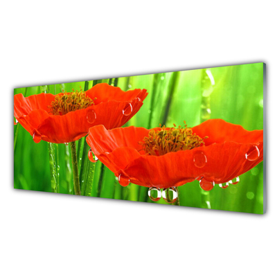 Billede i glas Poppies Nature Plant