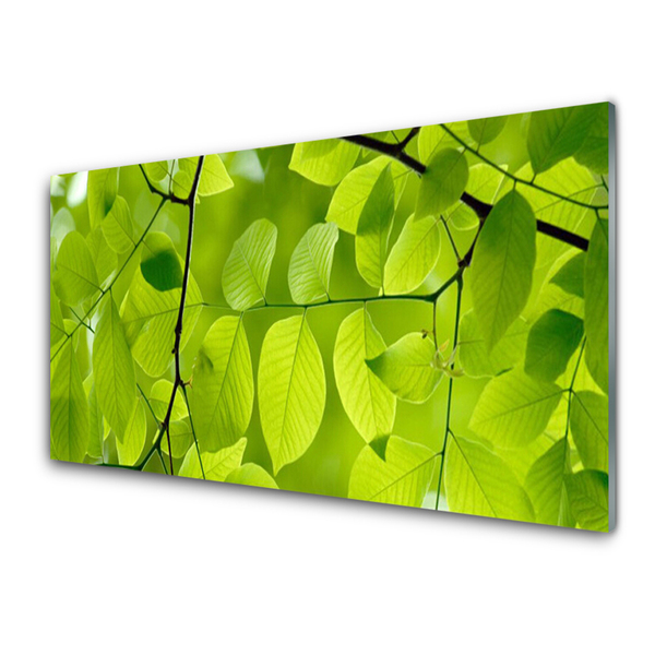 Billede glas Leaf Nature Plant