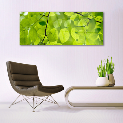 Billede glas Leaf Nature Plant