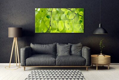 Billede glas Leaf Nature Plant