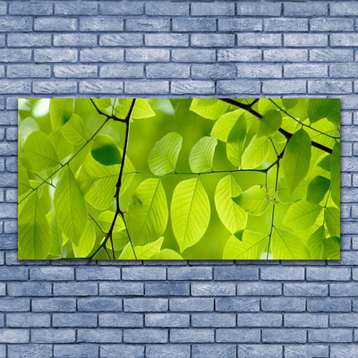 Billede glas Leaf Nature Plant