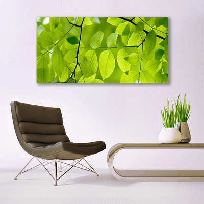 Billede glas Leaf Nature Plant