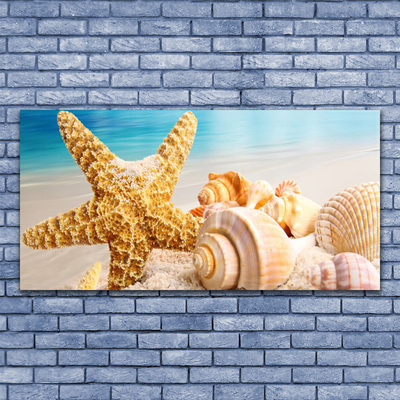 Glas billede Starfish Shell Art