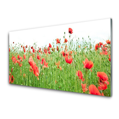 Billede glas Poppy Plant Nature