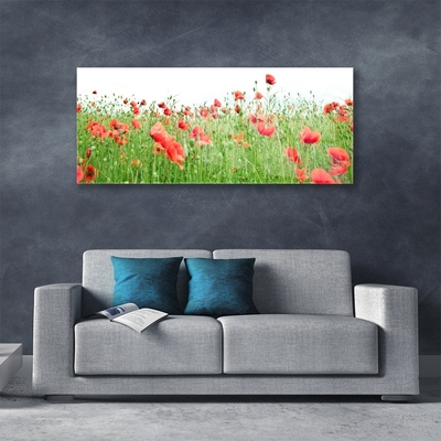 Billede glas Poppy Plant Nature