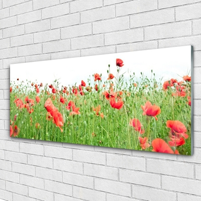 Billede glas Poppy Plant Nature