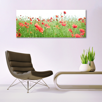 Billede glas Poppy Plant Nature