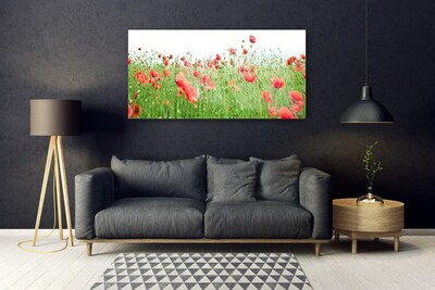 Billede glas Poppy Plant Nature