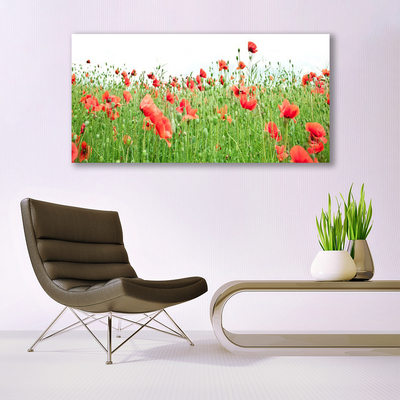 Billede glas Poppy Plant Nature