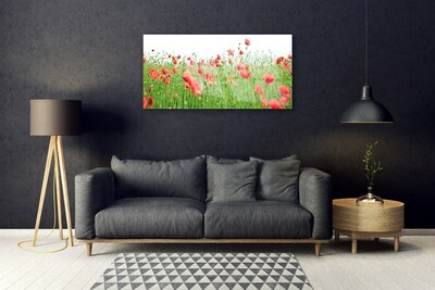 Billede glas Poppy Plant Nature