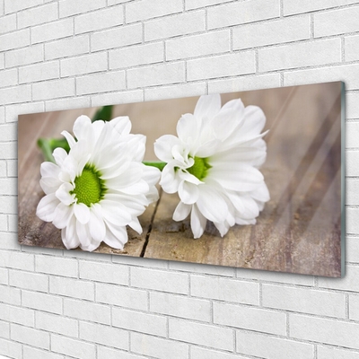 Billede på glas Blomster Natur Plante