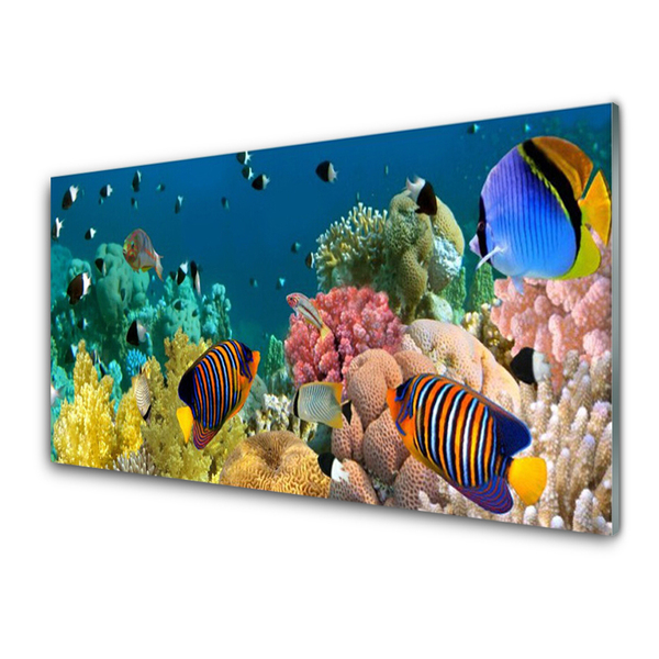 Glasbillede Coral Reef Nature