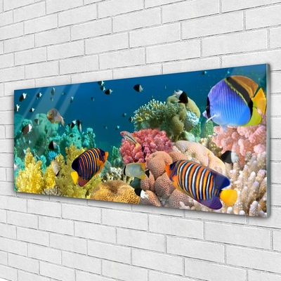 Glasbillede Coral Reef Nature