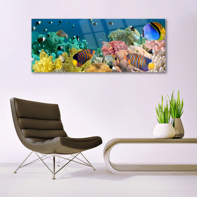 Glasbillede Coral Reef Nature