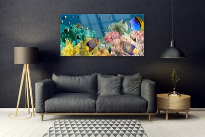 Glasbillede Coral Reef Nature