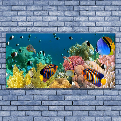 Glasbillede Coral Reef Nature