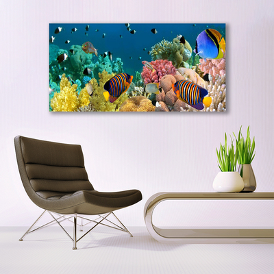 Glasbillede Coral Reef Nature