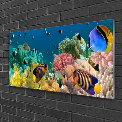 Glasbillede Coral Reef Nature