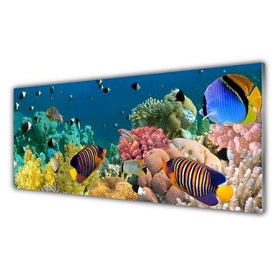 Glasbillede Coral Reef Nature