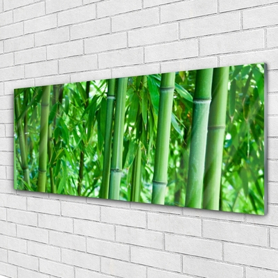 Billede i glas Bamboo Stem Plant