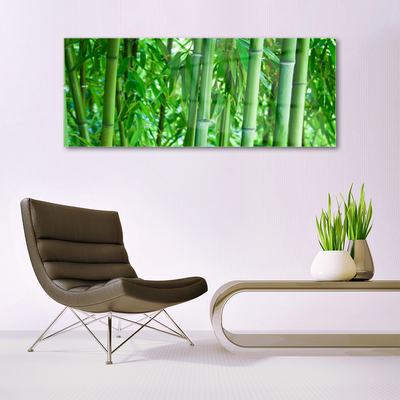 Billede i glas Bamboo Stem Plant