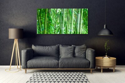 Billede i glas Bamboo Stem Plant