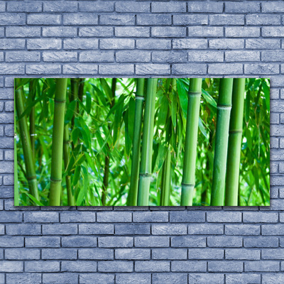 Billede i glas Bamboo Stem Plant