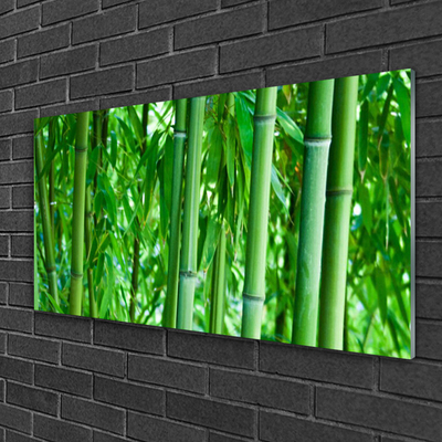 Billede i glas Bamboo Stem Plant