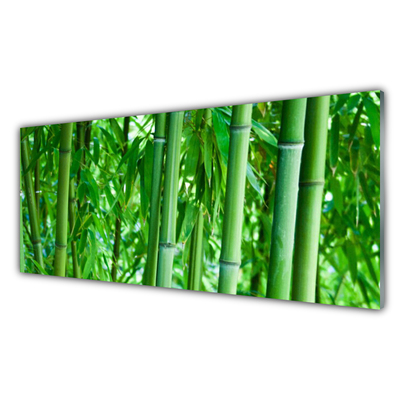 Billede i glas Bamboo Stem Plant