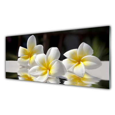 Billede glas Blomster Plante Natur