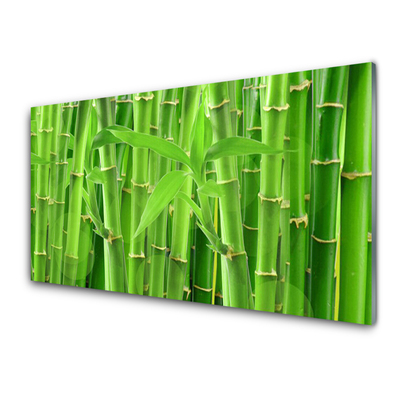 Billede glas Bamboo Stem Flower Plant