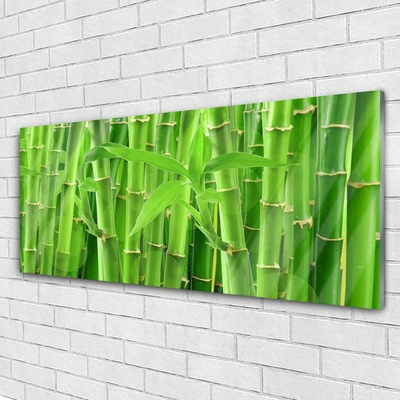 Billede glas Bamboo Stem Flower Plant