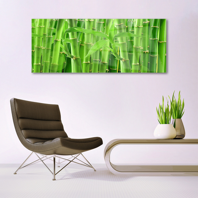 Billede glas Bamboo Stem Flower Plant