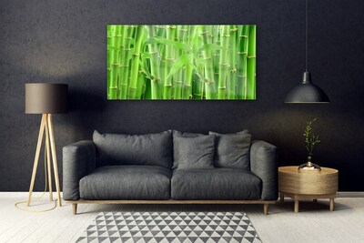 Billede glas Bamboo Stem Flower Plant